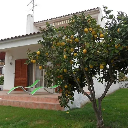 100 M From The Roda de Berà (Roda de Bará)