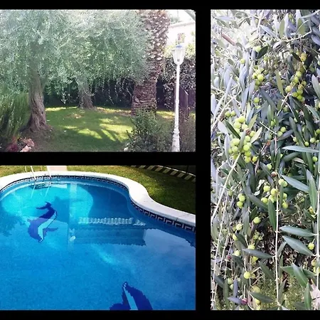 Villa 100 M From The *
